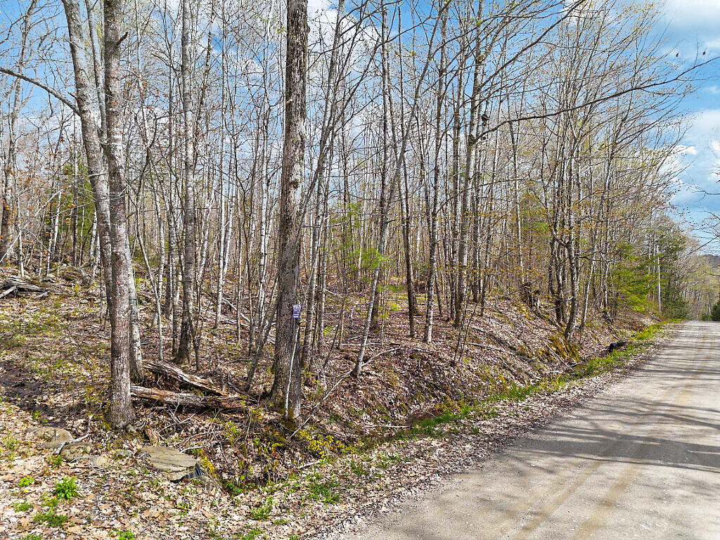 501 Noyes Road Waldoboro, ME 04572 - Photo 9 of 27