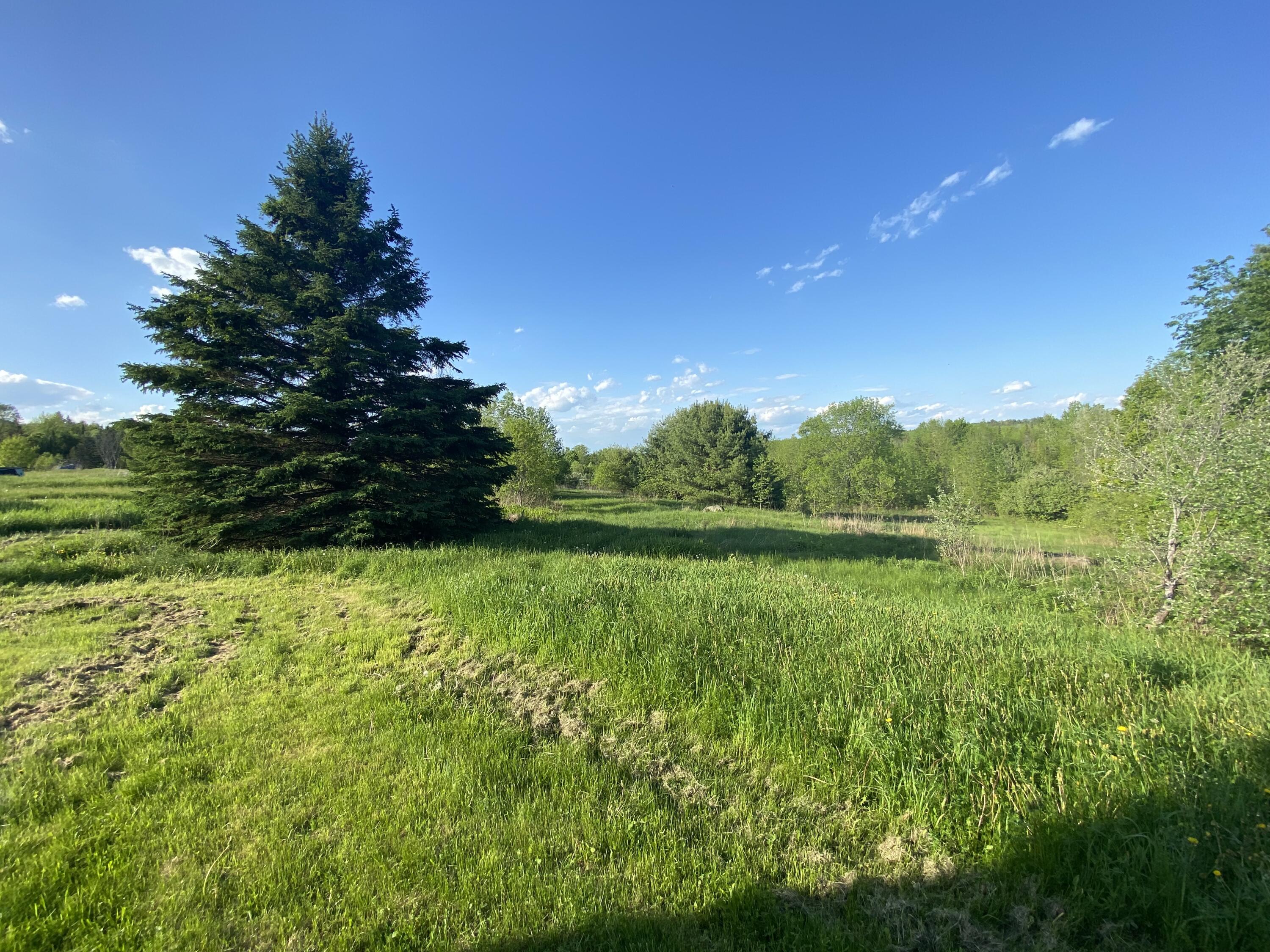 113 Canaan Road Pittsfield, ME 04967 - Photo 11 of 33 IMG_6611