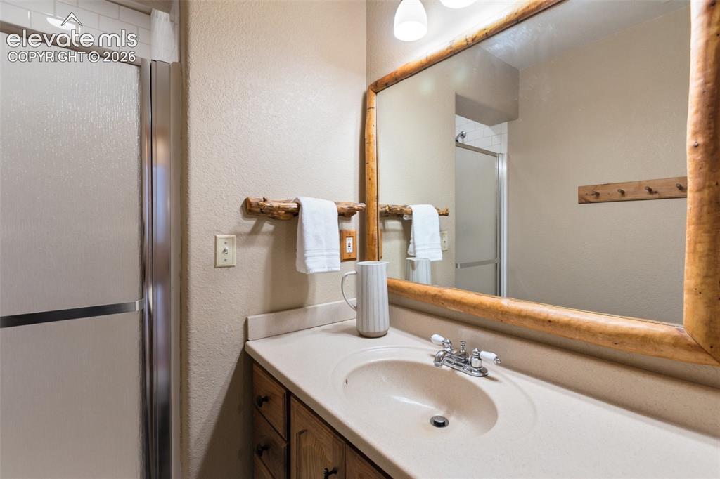 2809 Edlowe Road Woodland Park, CO 80863 - Photo 19 of 42 3/4 Bathroom