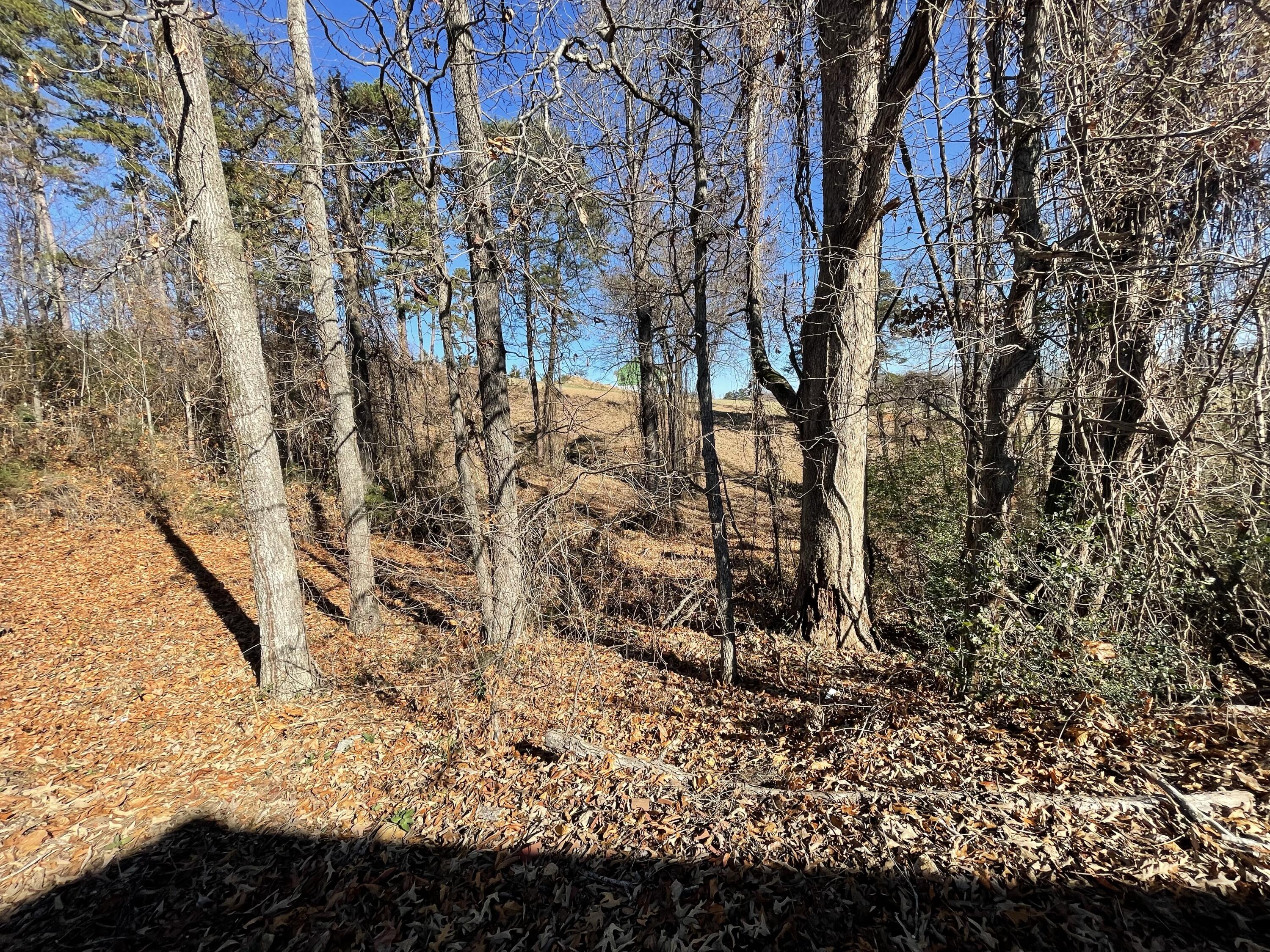 Lot 96 Shiloh, Unit 96 Rutledge, TN 37861 - Photo 11 of 21 10