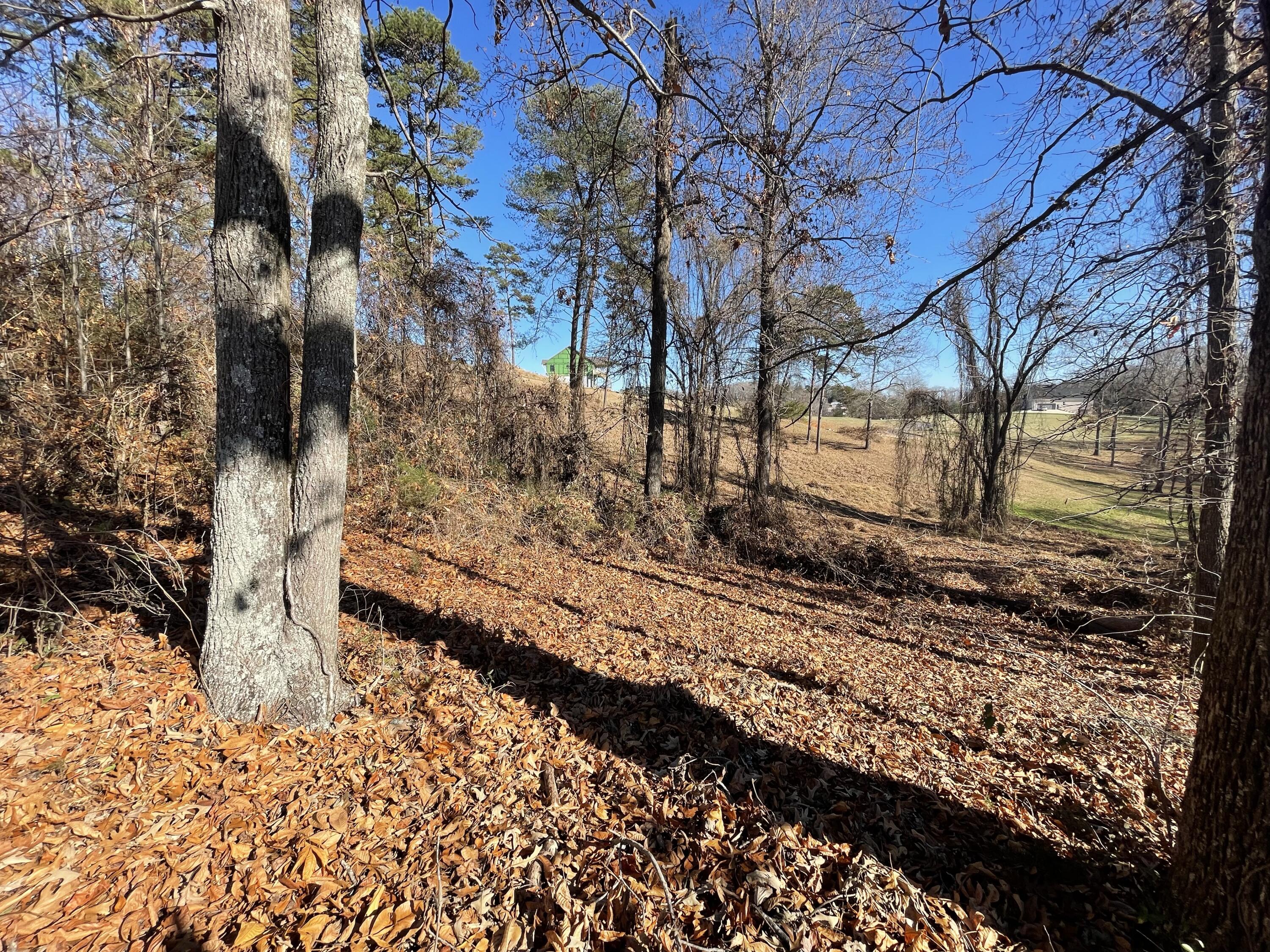 Lot 96 Shiloh, Unit 96 Rutledge, TN 37861 - Photo 12 of 21 11