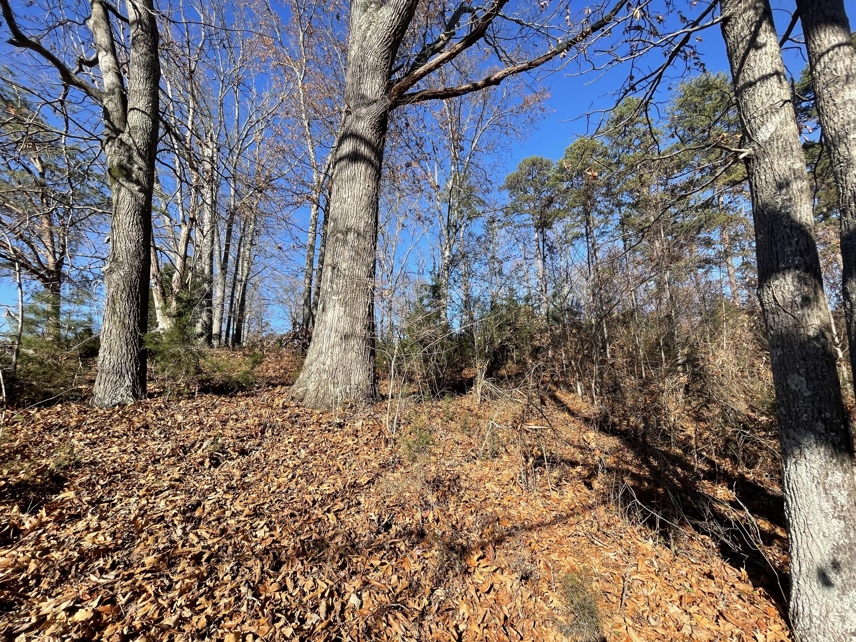 Lot 96 Shiloh, Unit 96 Rutledge, TN 37861 - Photo 13 of 21 12