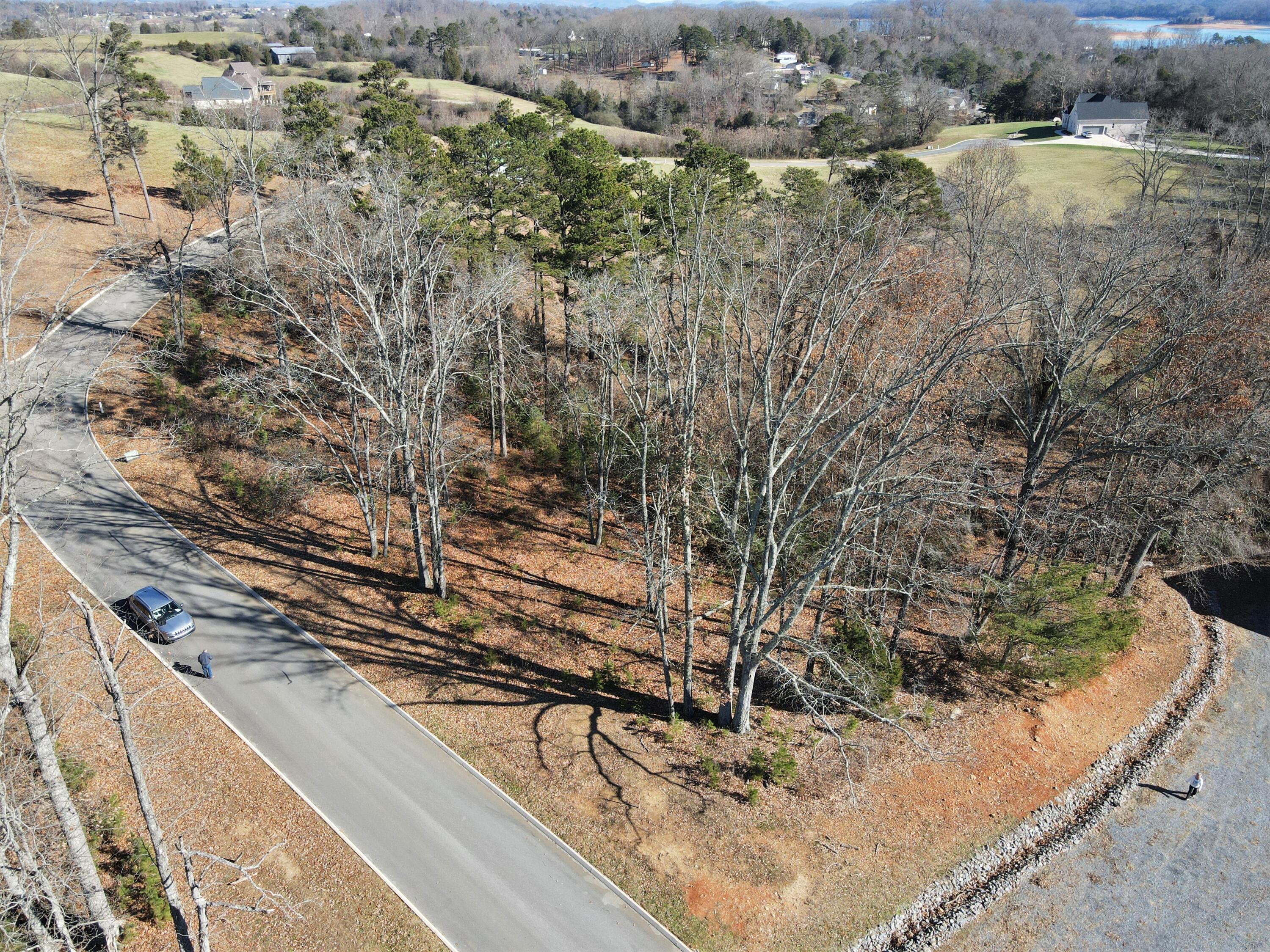 Lot 96 Shiloh, Unit 96 Rutledge, TN 37861 - Photo 3 of 21 3