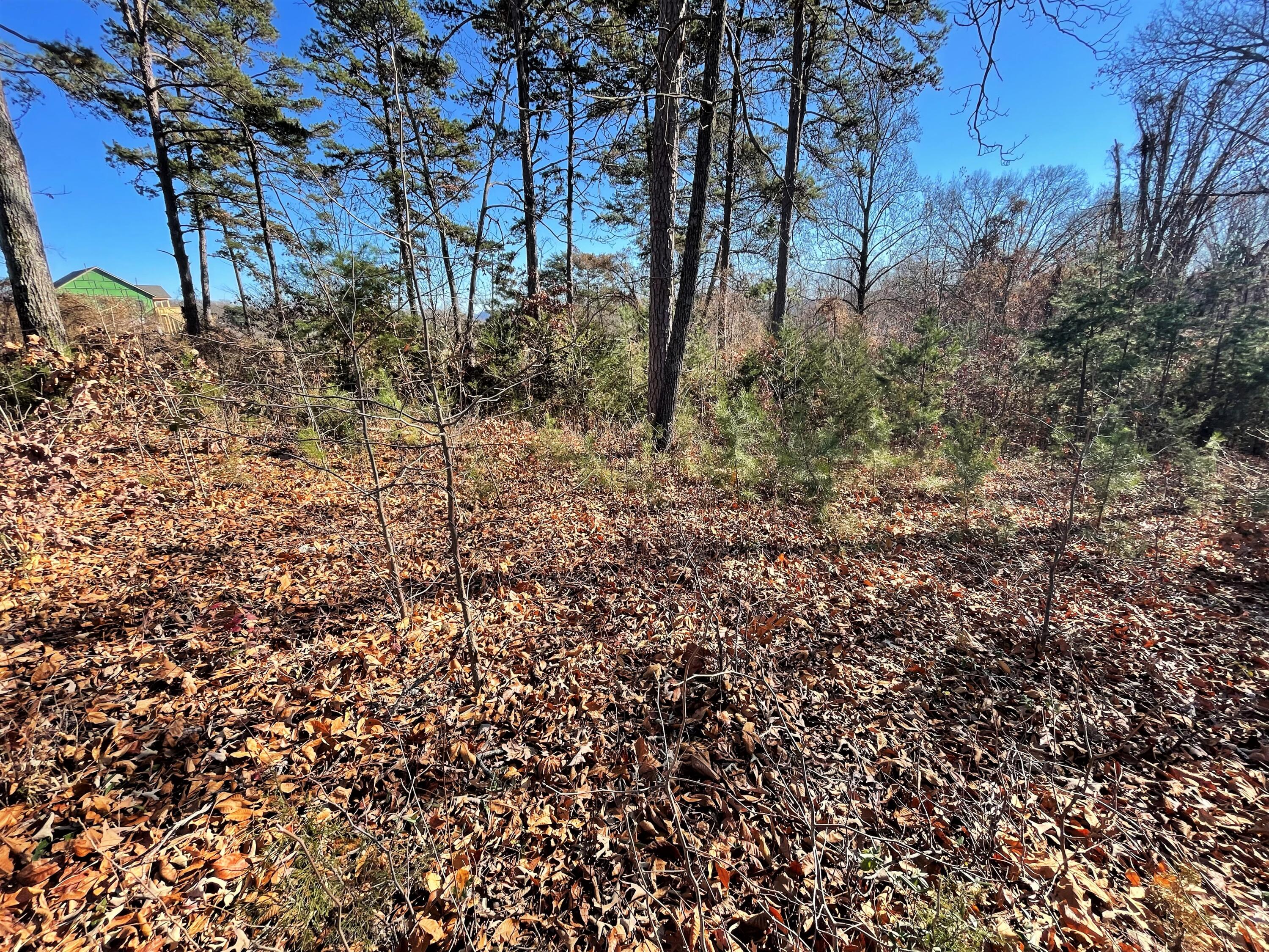 Lot 96 Shiloh, Unit 96 Rutledge, TN 37861 - Photo 4 of 21 4