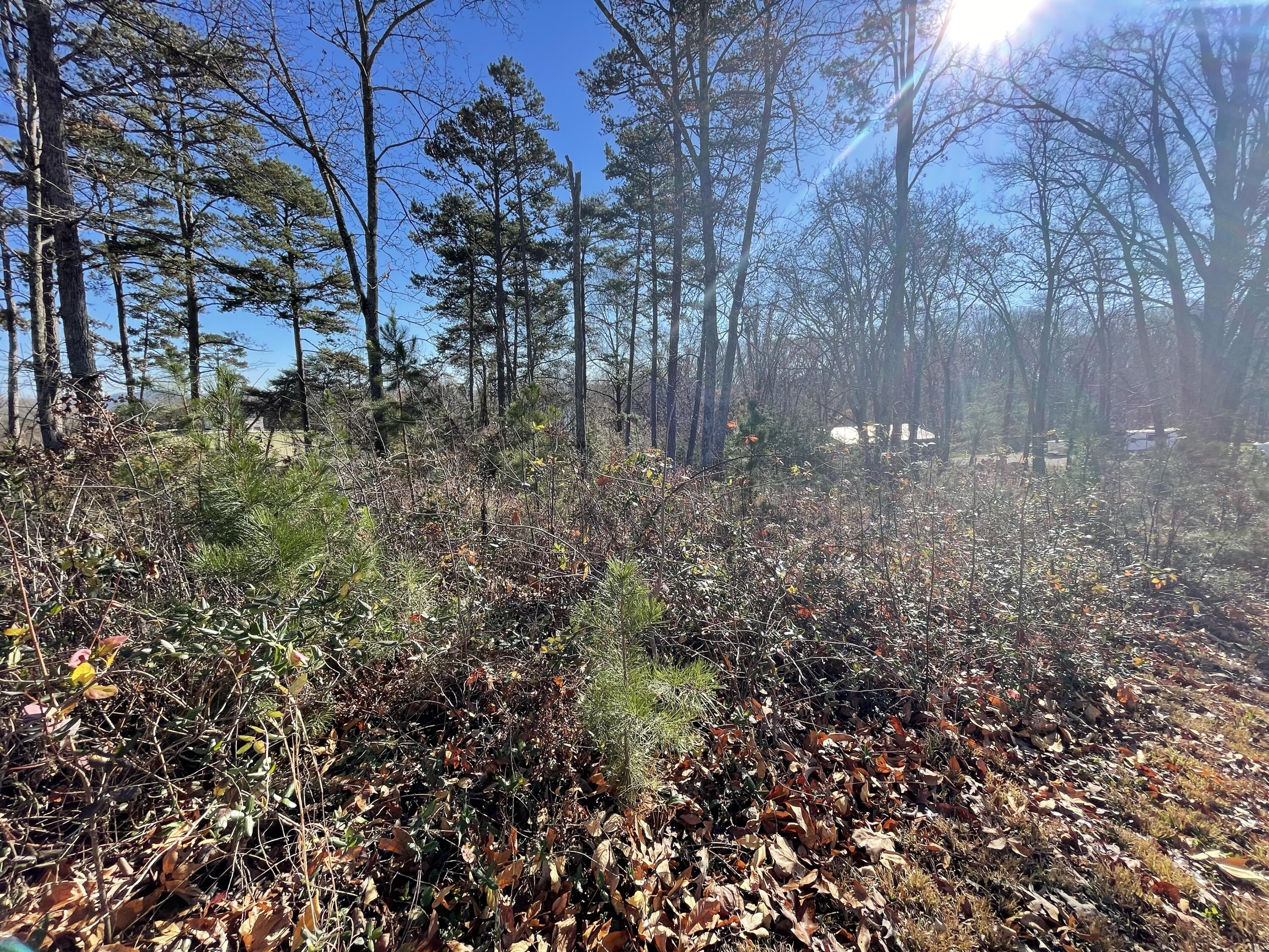 Lot 96 Shiloh, Unit 96 Rutledge, TN 37861 - Photo 5 of 21 4a