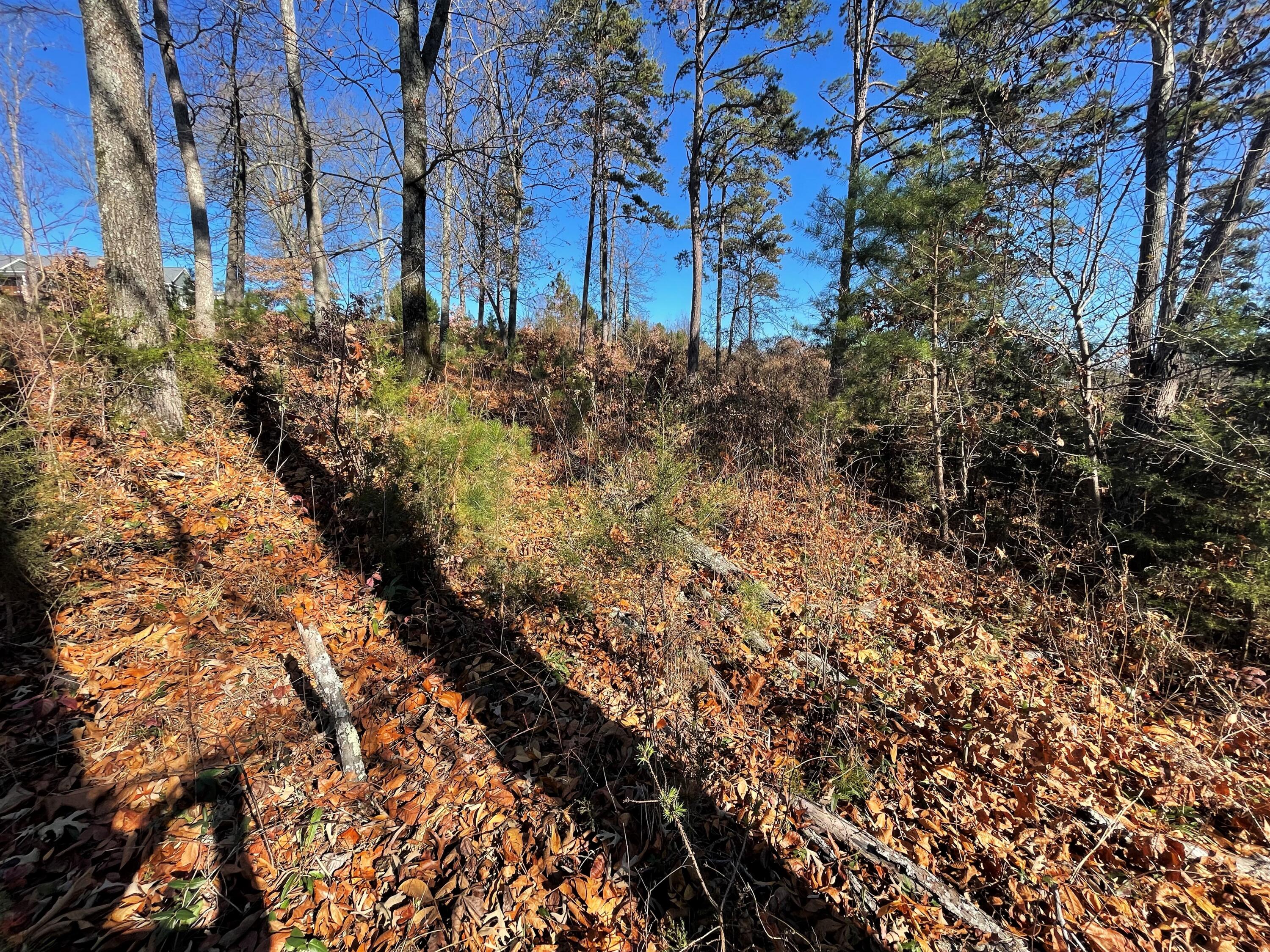 Lot 96 Shiloh, Unit 96 Rutledge, TN 37861 - Photo 6 of 21 5