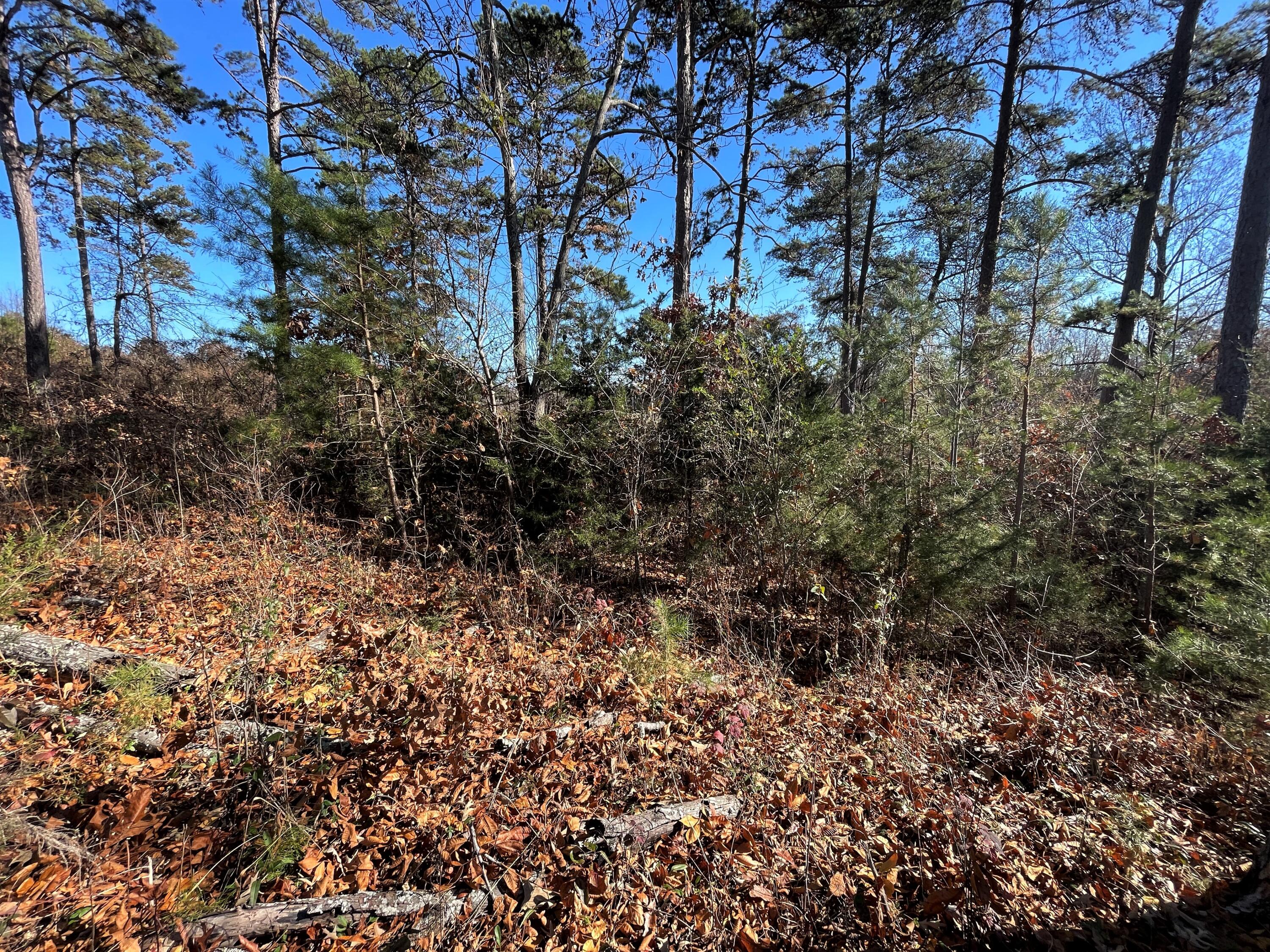 Lot 96 Shiloh, Unit 96 Rutledge, TN 37861 - Photo 7 of 21 6