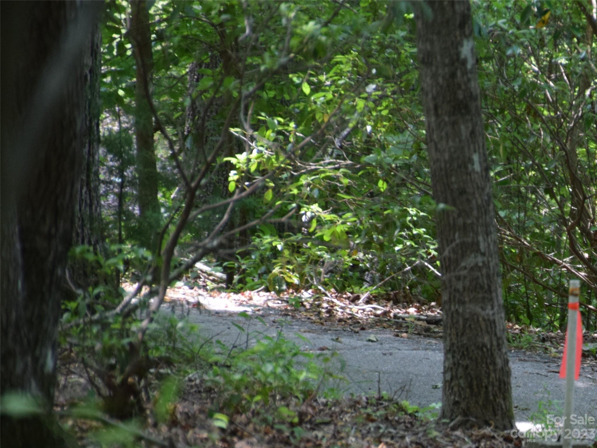Lot 9 Club Road Campobello, SC 29322 - Photo 10 of 10 a picture of tree