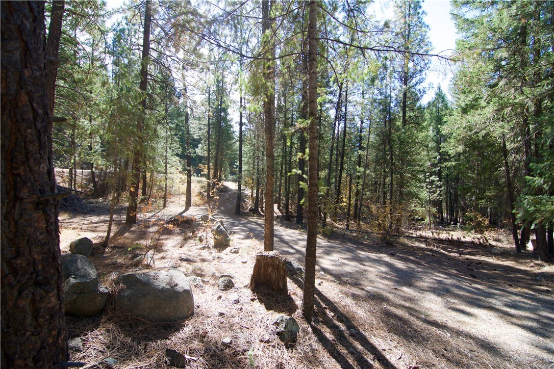 3 X Highland Road Winthrop, WA 98862 - Photo 4 of 16