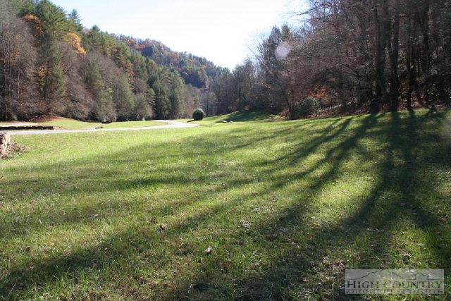 775 Meadow Road Ferguson, NC 28624 - Photo 4 of 20 a view of outdoor space with trees all around