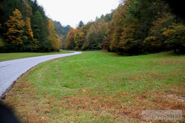 775 Meadow Road Ferguson, NC 28624 - Photo 6 of 20 a view of a field with trees in the background
