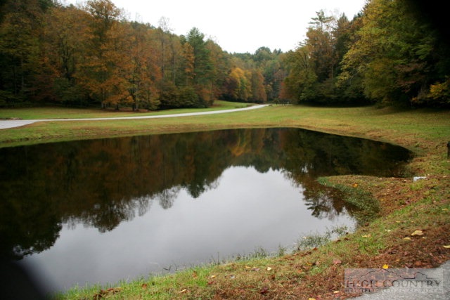 775 Meadow Road Ferguson, NC 28624 - Photo 7 of 20 a view of a lake with a yard
