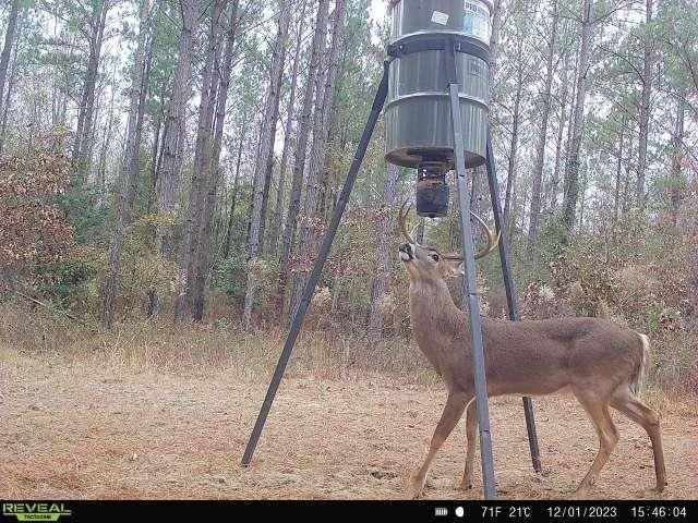 0 North Indian Trail Road Sandersville, GA 31082 - Photo 7 of 26