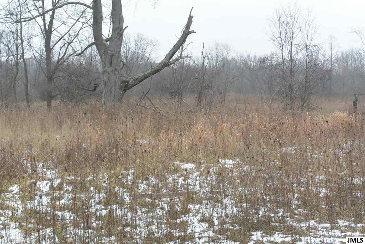8817 County Farm Road Parma, MI 49269 - Photo 9 of 36 Photo 9
