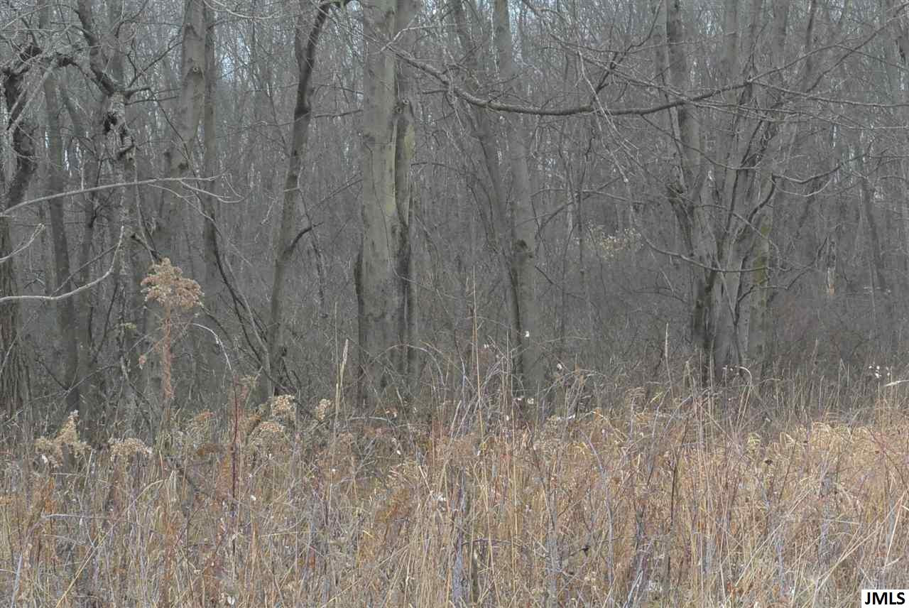 8817 County Farm Road Parma, MI 49269 - Photo 10 of 36 Photo 10