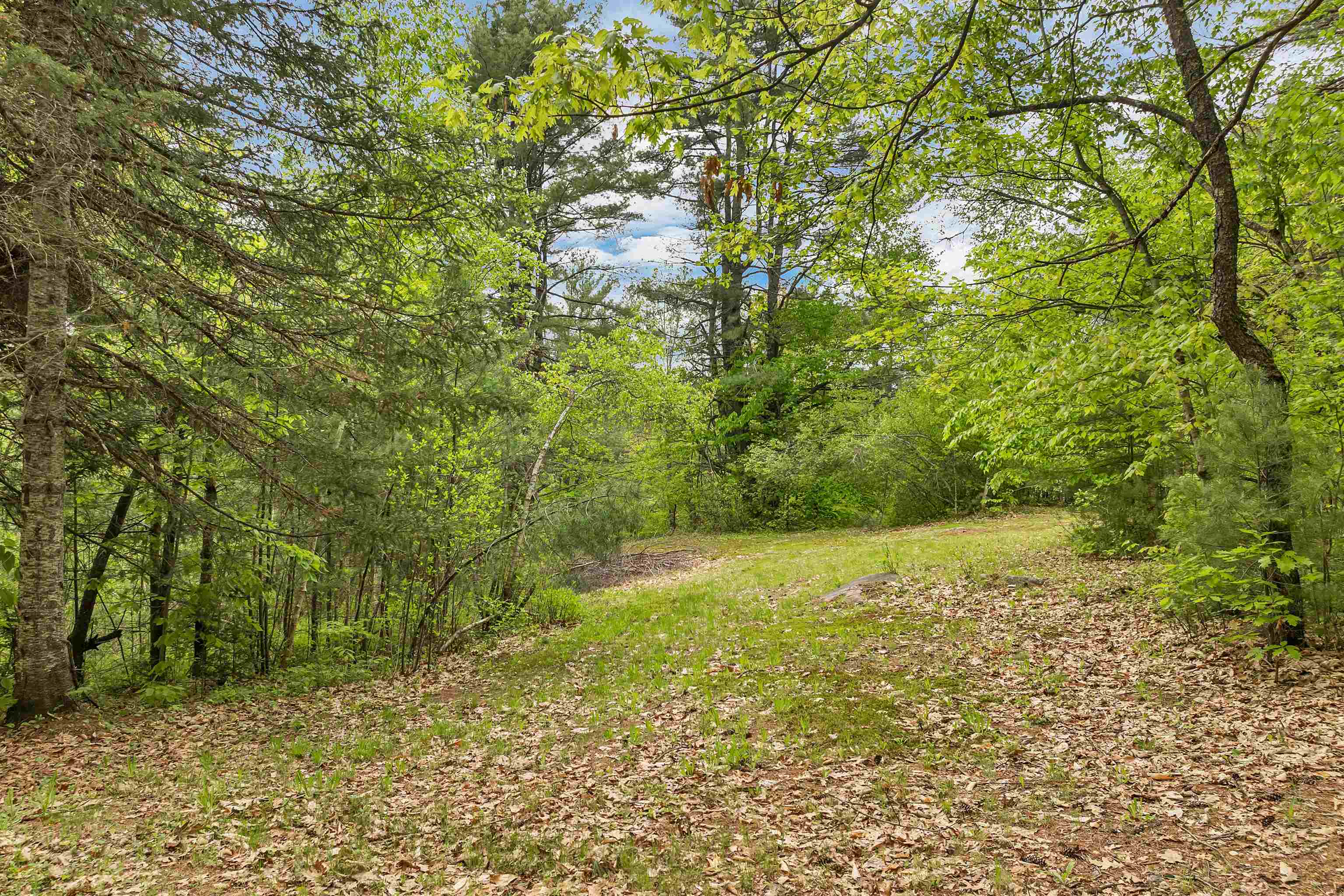124 Hanson Road Ossipee, NH 03864 - Photo 7 of 59