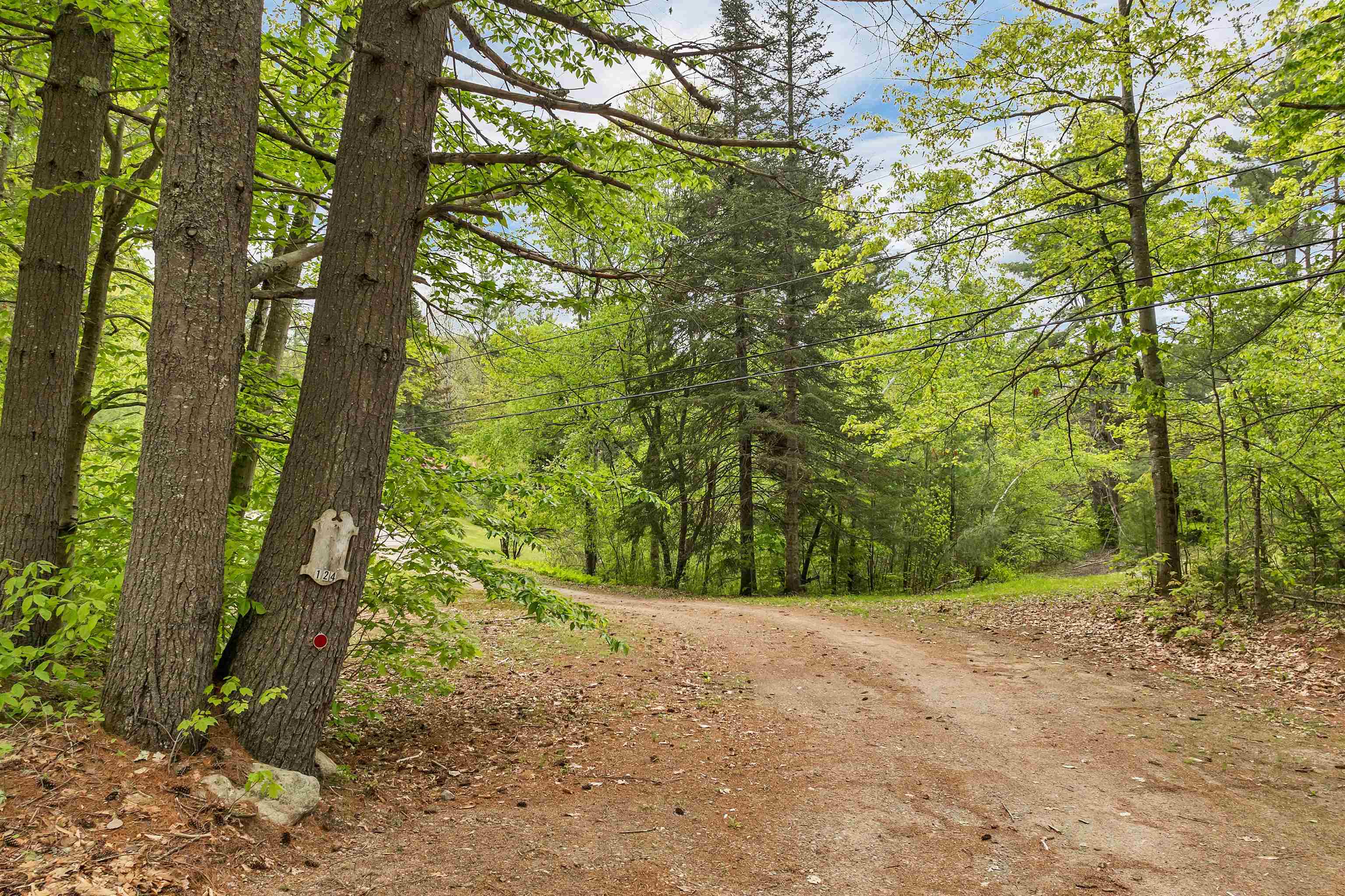 124 Hanson Road Ossipee, NH 03864 - Photo 8 of 59