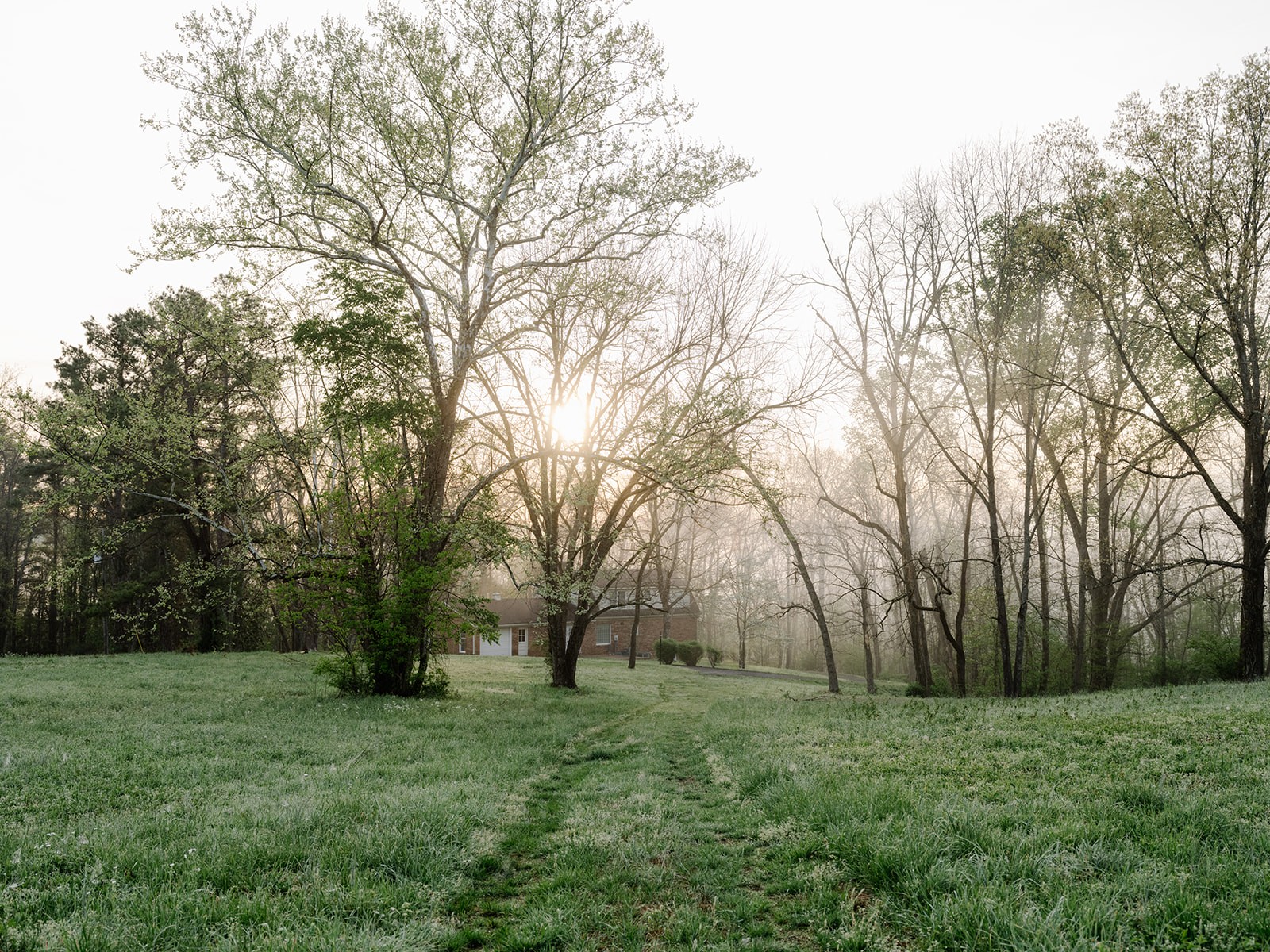 846 R Wilkerson Drive Centerville, TN 37033 - Photo 11 of 68 a view of backyard with large trees
