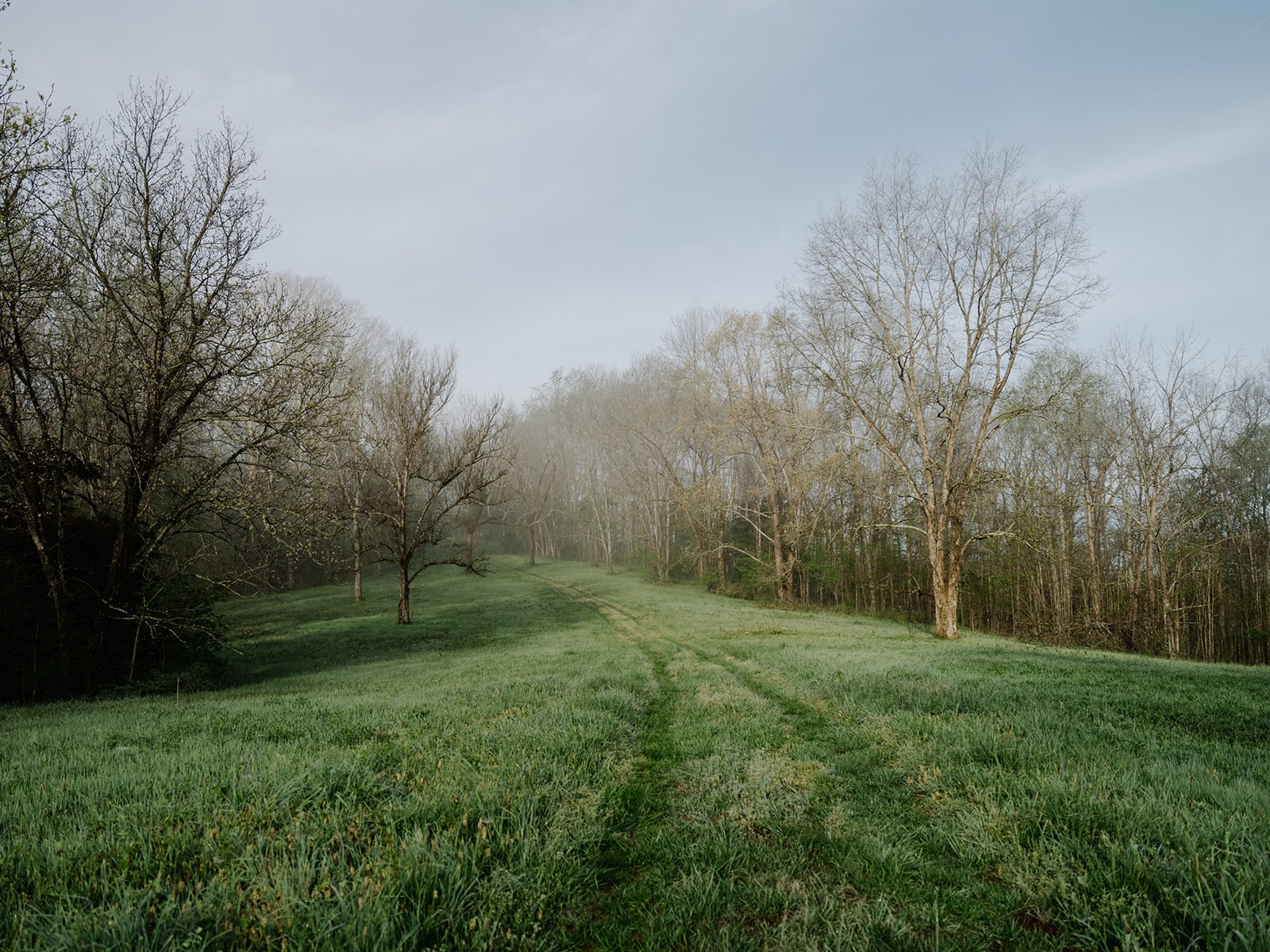 846 R Wilkerson Drive Centerville, TN 37033 - Photo 13 of 68 a view of an outdoor space and a yard