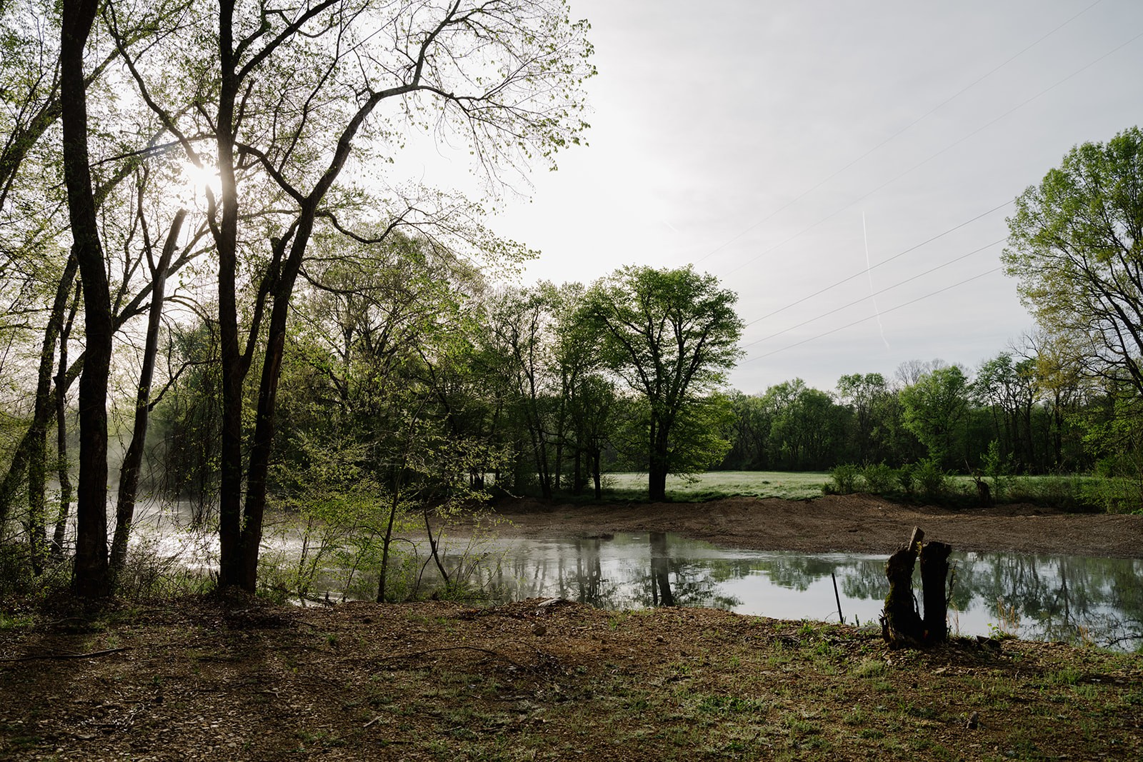 846 R Wilkerson Drive Centerville, TN 37033 - Photo 25 of 68 a view of lake with green space