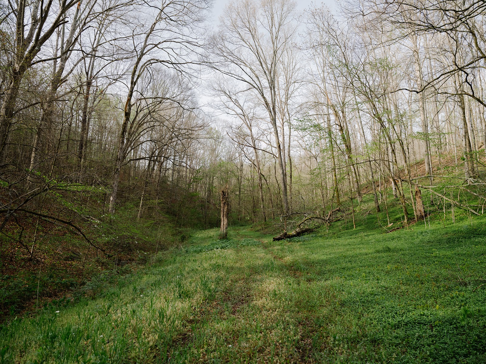 846 R Wilkerson Drive Centerville, TN 37033 - Photo 28 of 68