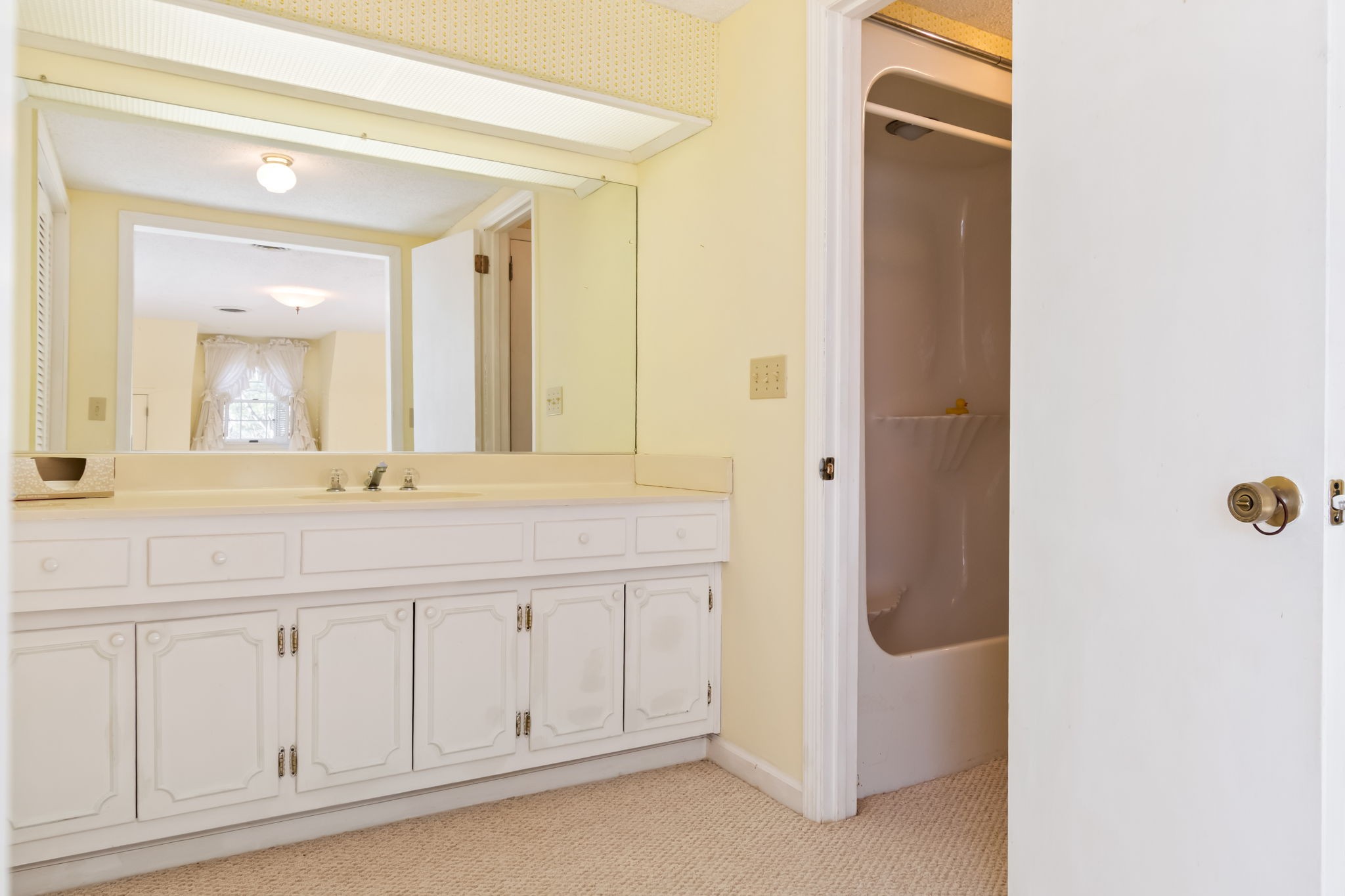 846 R Wilkerson Drive Centerville, TN 37033 - Photo 52 of 68 a bathroom with a sink and a mirror