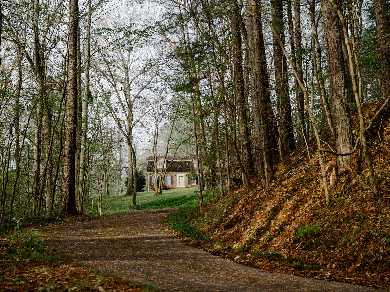 846 R Wilkerson Drive Centerville, TN 37033 - Photo 53 of 68 a view of backyard with green space
