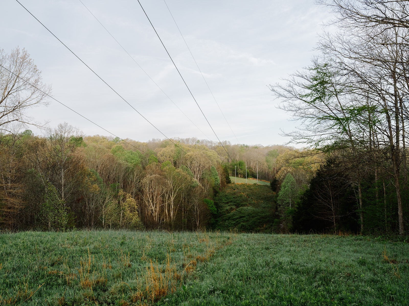 846 R Wilkerson Drive Centerville, TN 37033 - Photo 58 of 68