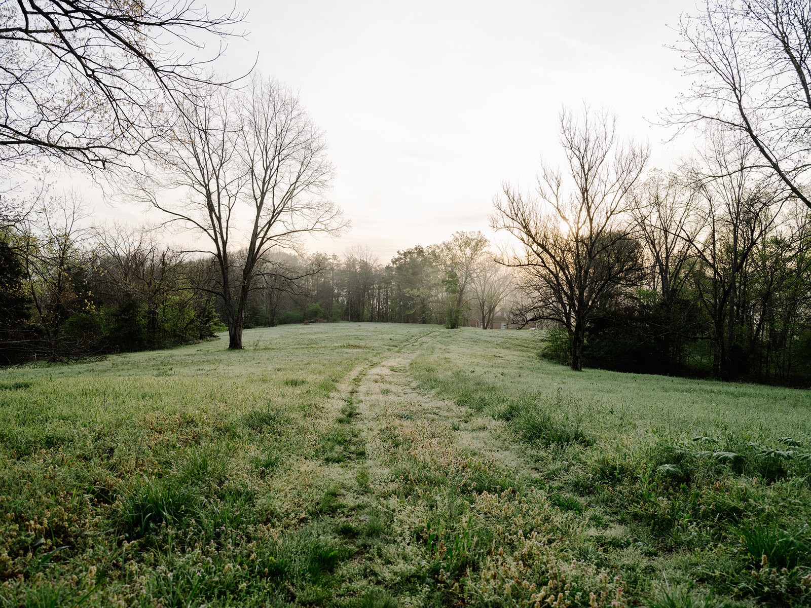 846 R Wilkerson Drive Centerville, TN 37033 - Photo 9 of 68 a view of a field with large trees