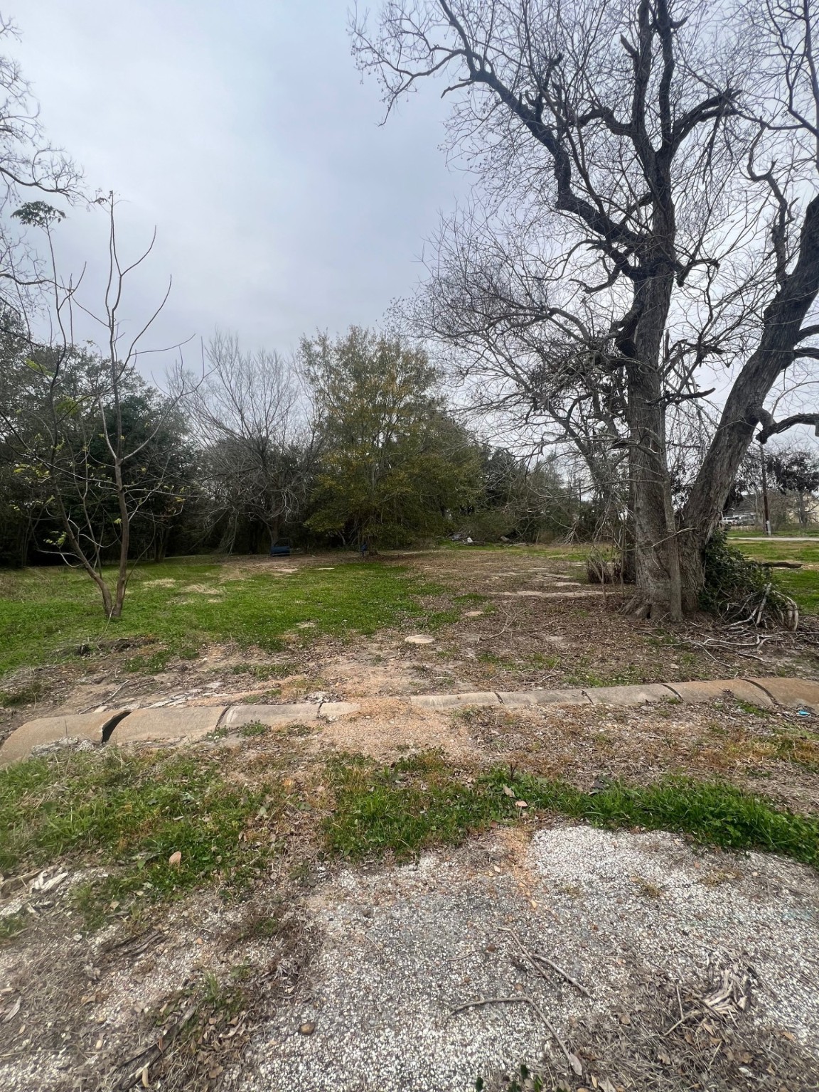 Tbd 1st Street Eagle Lake, TX 77434 - Photo 2 of 2