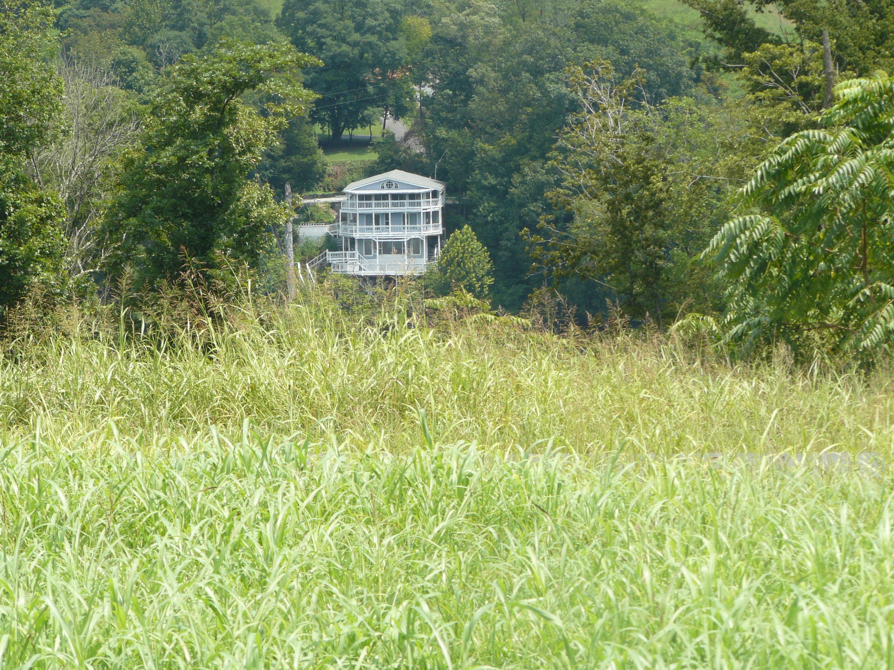 Lot 9 Lookout Drive Rutledge, TN 37861 - Photo 1 of 3 P1360971