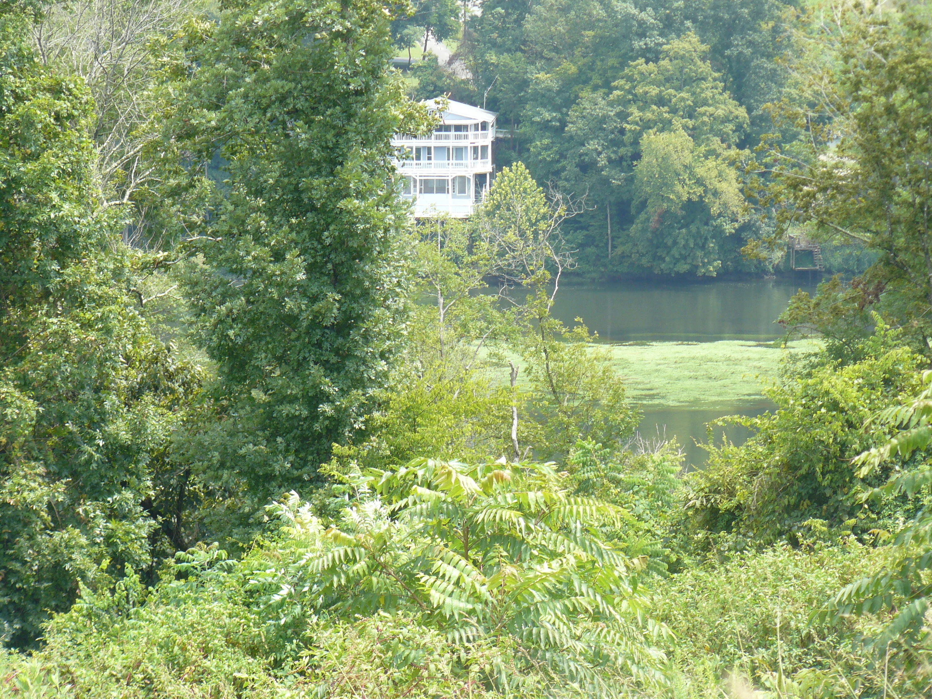 Lot 9 Lookout Drive Rutledge, TN 37861 - Photo 2 of 3 P1360973