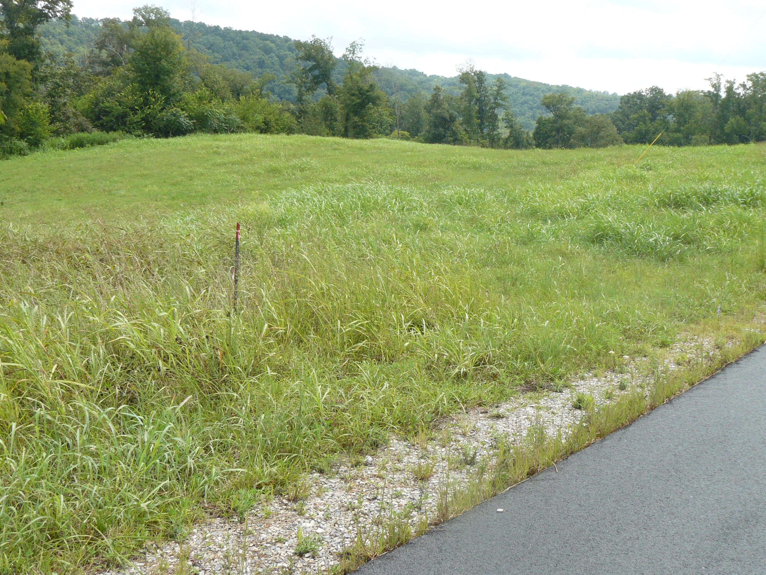 Lot 9 Lookout Drive Rutledge, TN 37861 - Photo 3 of 3 P1360974