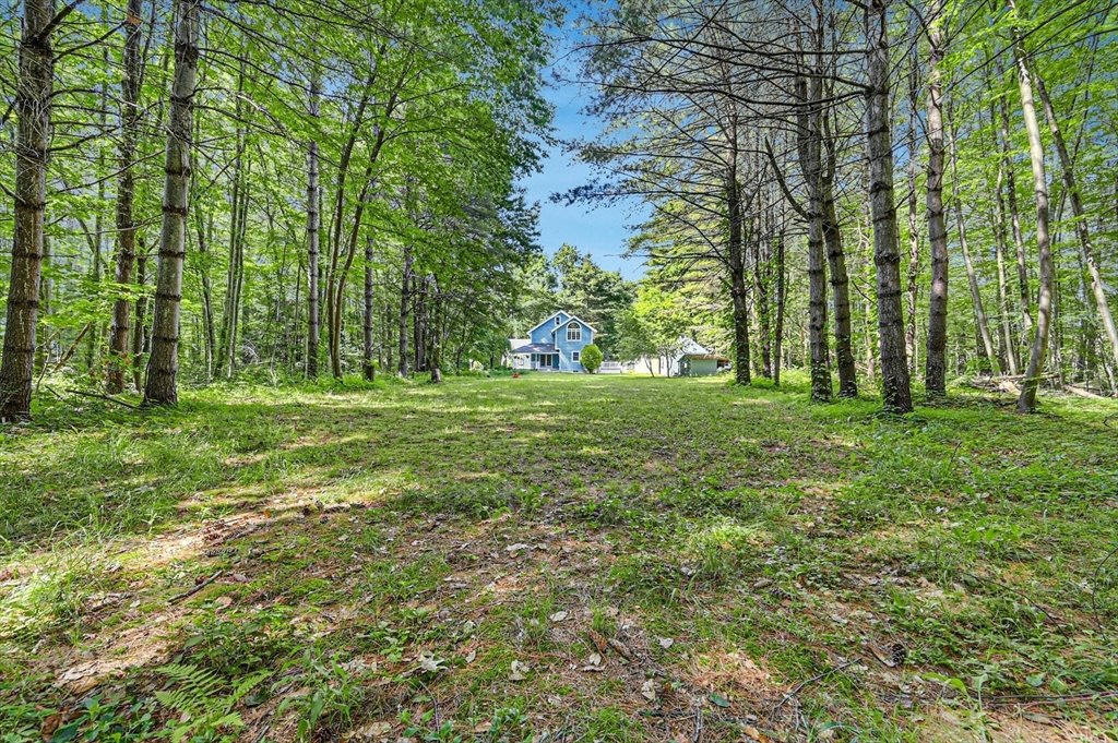 210 New Boston Road Sturbridge, MA 01566 - Photo 35 of 42 a view of a park with large trees