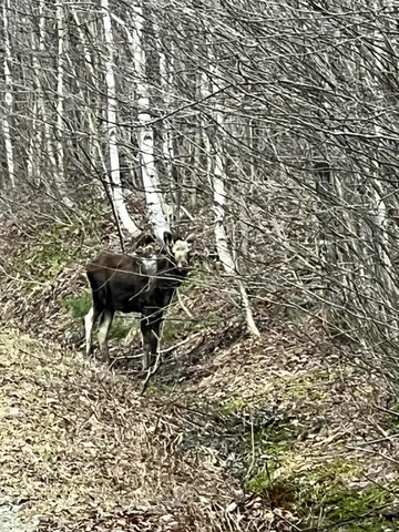 $159,000 | 18 Bear Lane, Rumford, ME 04276