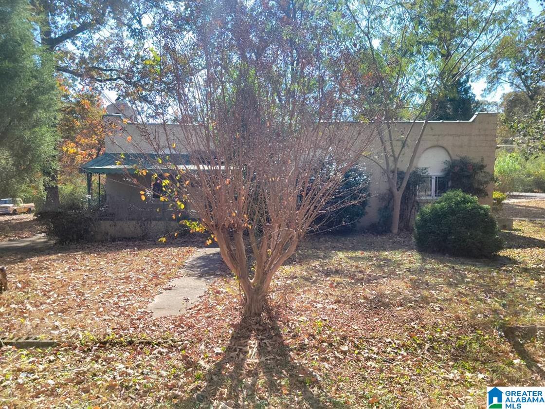 3014 Mulga Loop Road Birmingham, AL 35224 - Photo 1 of 20