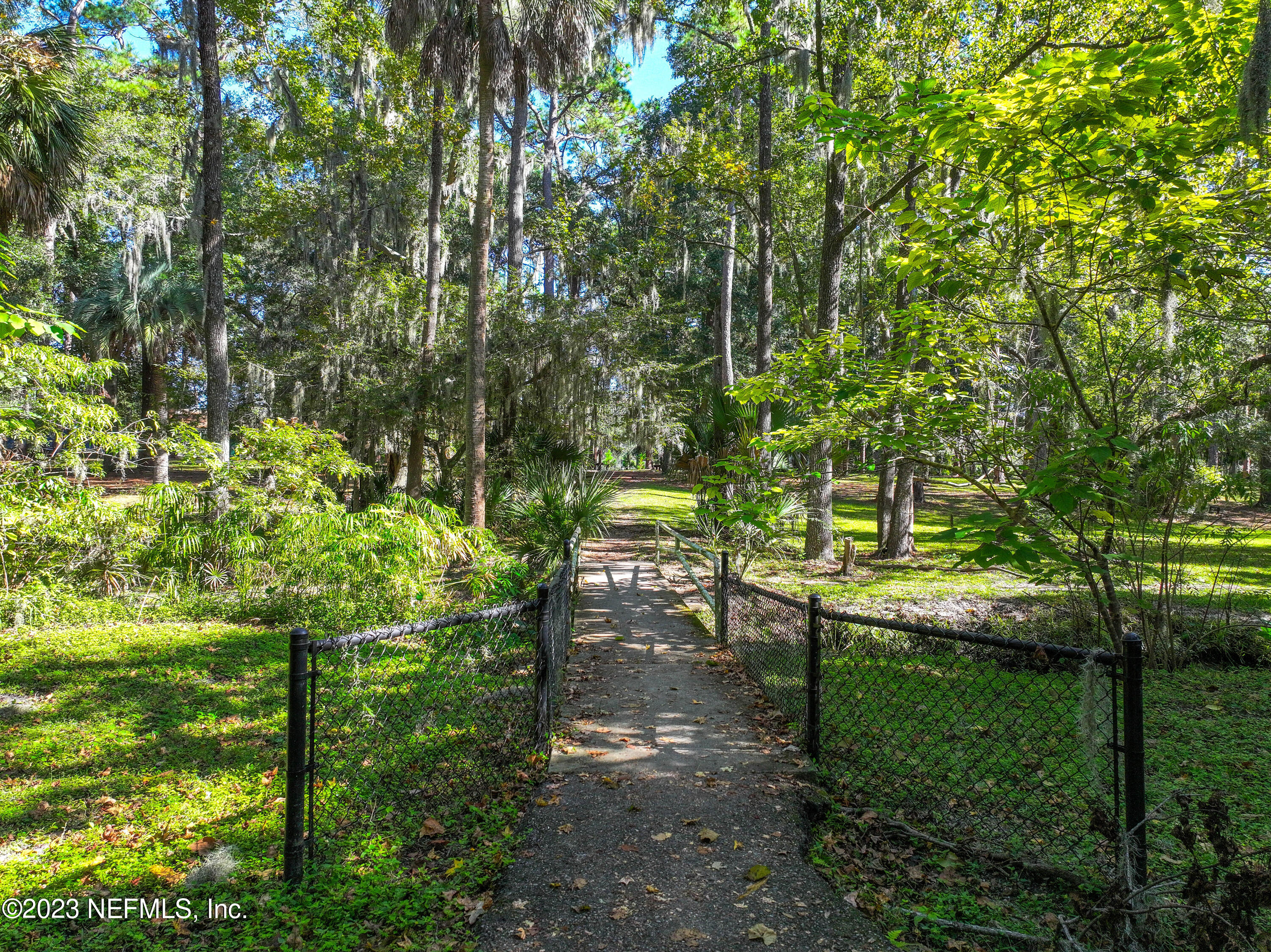3803 Valencia Road Jacksonville, FL 32205 - Photo 51 of 58 a view of a yard with plants and large trees