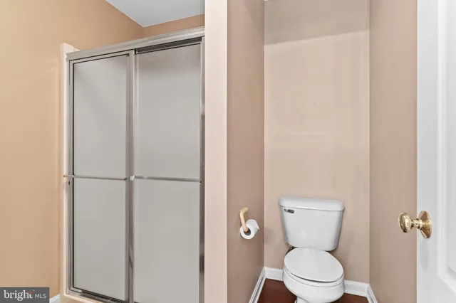 a view of a yard with a bench and some plants