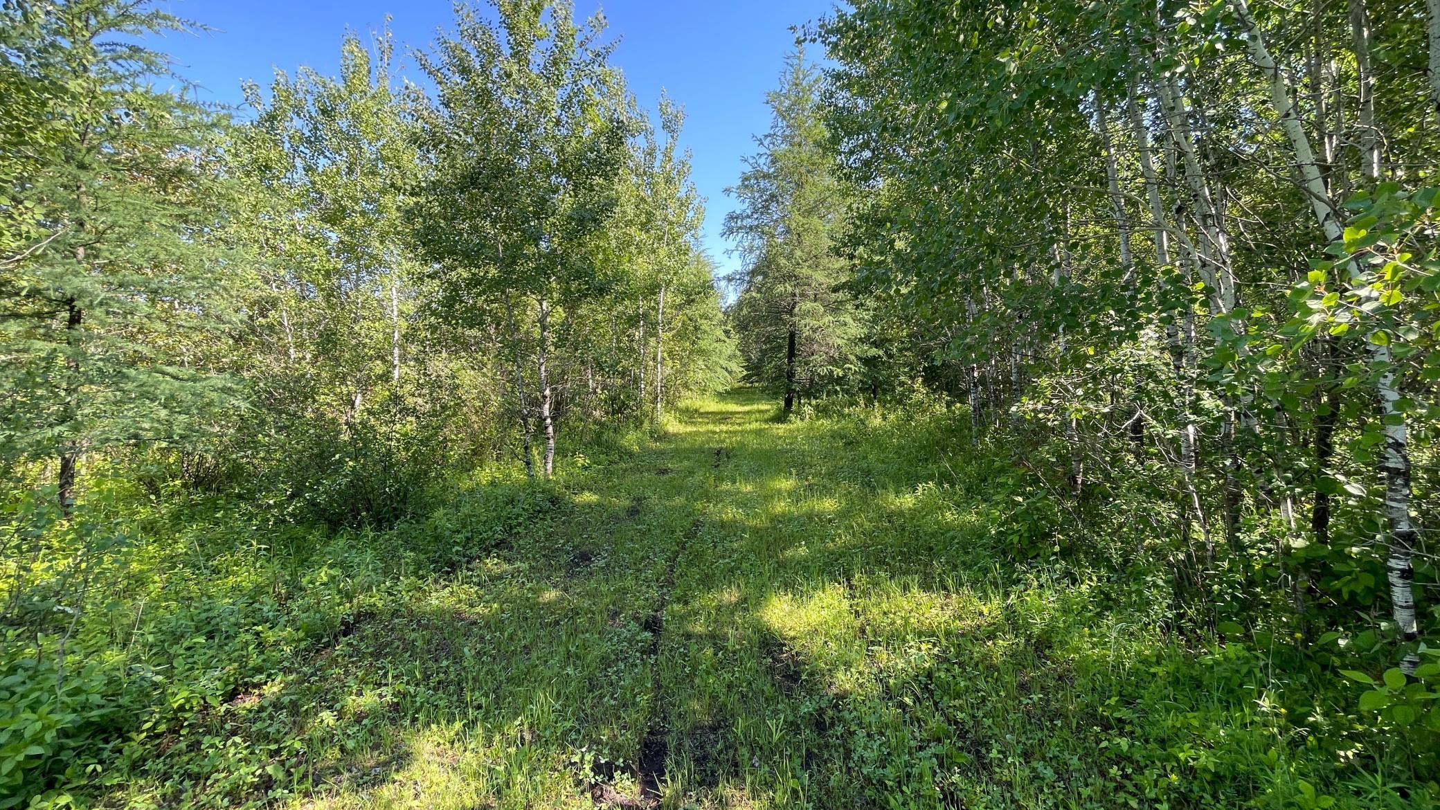 Tbd 440th Avenue Roseau, MN 56751 - Photo 53 of 80