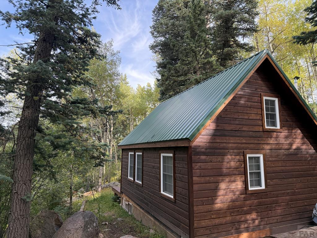 181 Lion Gulch Road Rye, CO 81069 - Photo 4 of 21