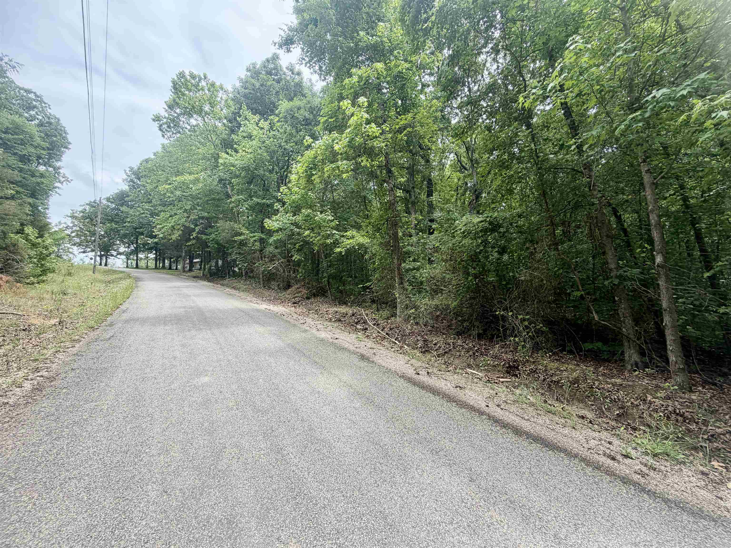 28-29 Pleasant Ridge Loop Adamsville, TN 38310 - Photo 4 of 5