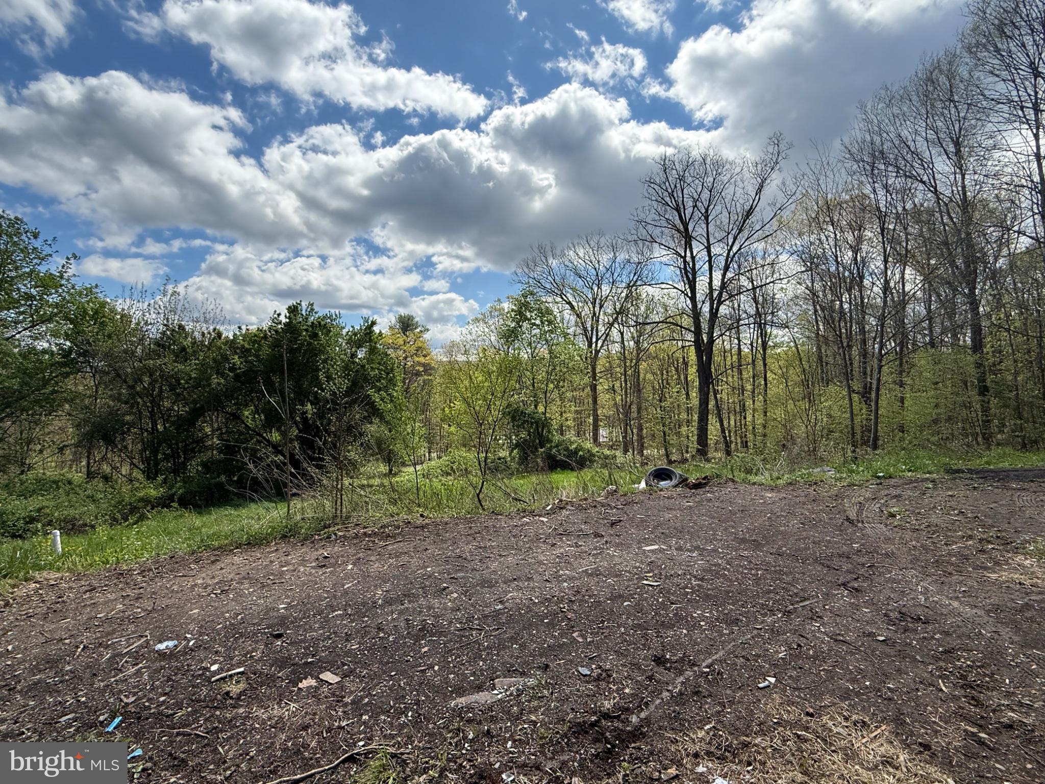 15232 Wrangletown Road Mount Union, PA 17066 - Photo 88 of 92 Cleared land with lush greenery backdrop.