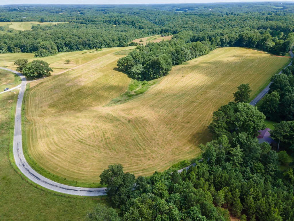 1 Weakley Loop Ethridge, TN 38456 - Photo 3 of 3 a view of a yard with an outdoor space