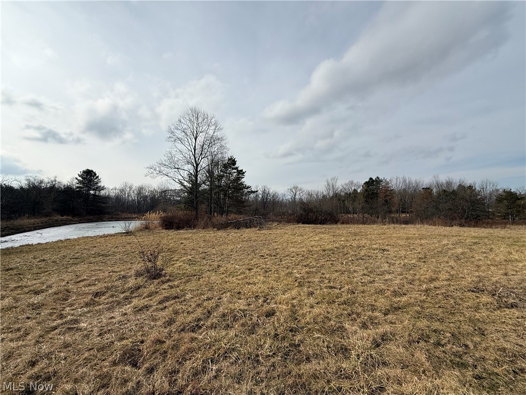 8290 Avon Lake Road Lodi, OH 44254 - Photo 4 of 14