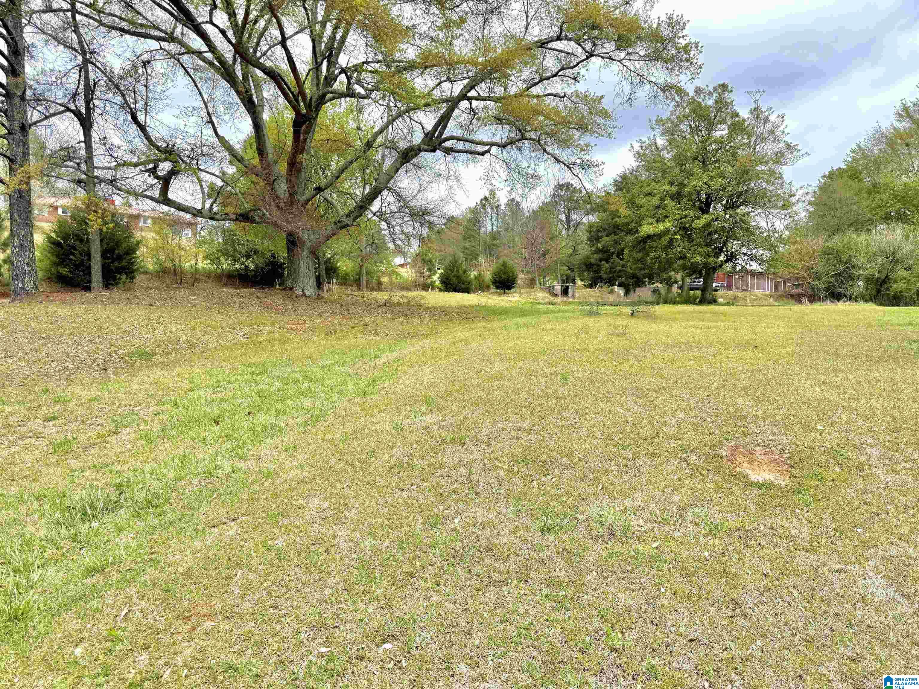 Mitchell Lane Ashland, AL 36251 - Photo 1 of 8