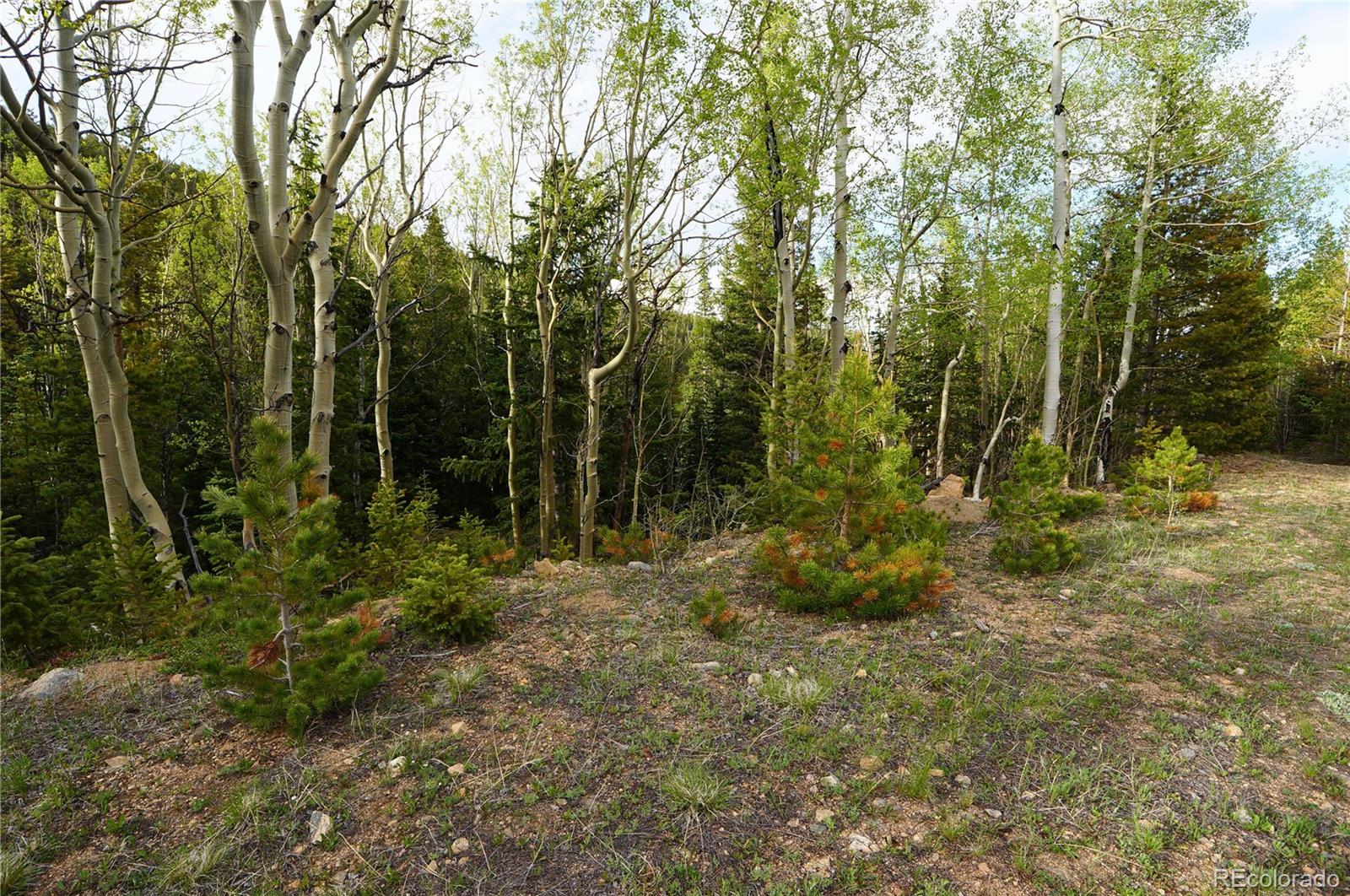 0 Trail Creek Road Idaho Springs, CO 80452 - Photo 7 of 16