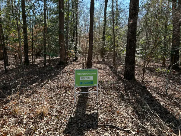 $11,000 | Lot 88 Coach Road, Cheraw, SC 29520