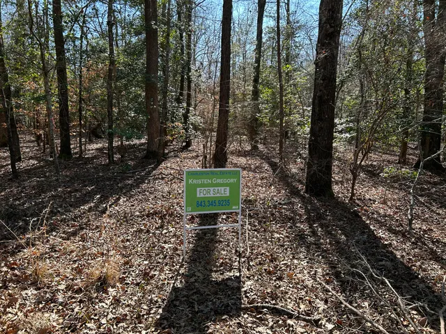 $11,000 | Lot 88 Coach Road, Cheraw, SC 29520
