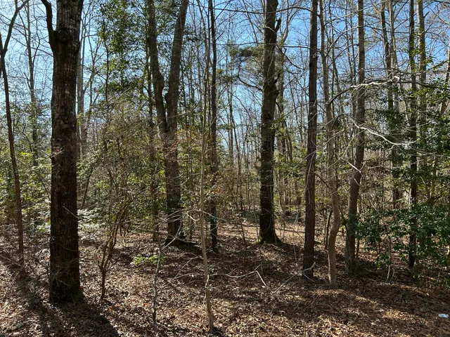 $11,000 | Lot 88 Coach Road, Cheraw, SC 29520