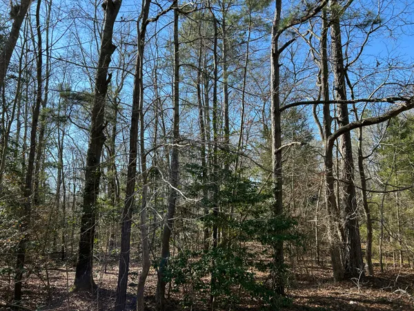 $11,000 | Lot 88 Coach Road, Cheraw, SC 29520